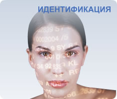 Research & Development